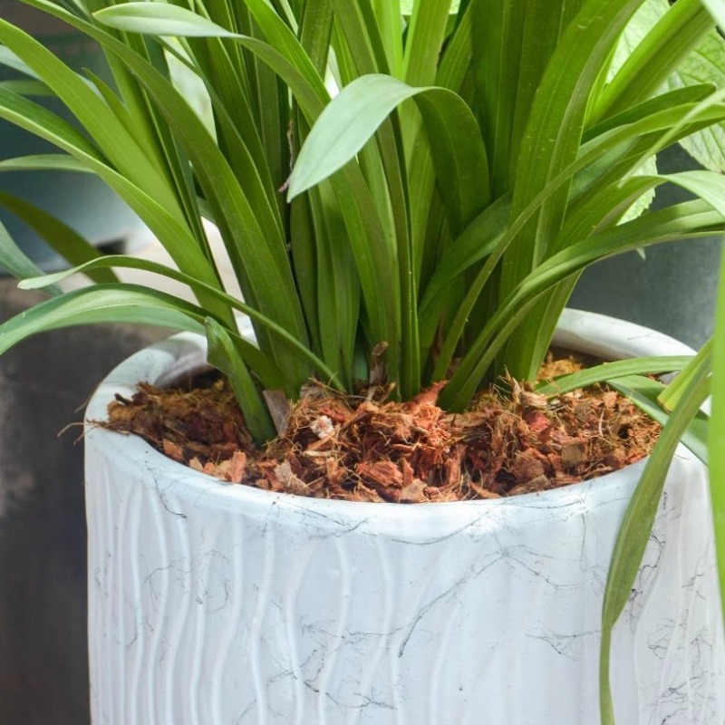 Tijolo de fibra de coco com fe - Substrate Coconut Fiber avaliação e preço