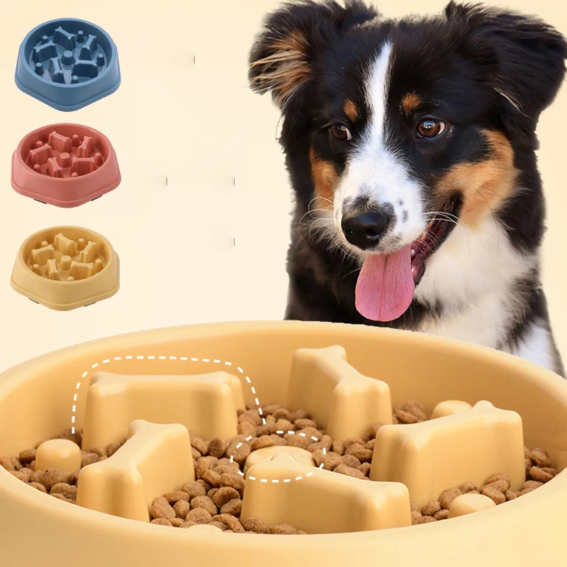Tigela para Cães com Alimentaç - Royal Canin Food Medium avaliação e preço