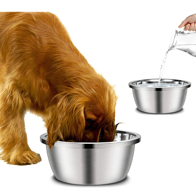 Comedouros de Aço Inoxidável p - Royal Canin Food Medium avaliação e preço
